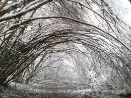neige ...........