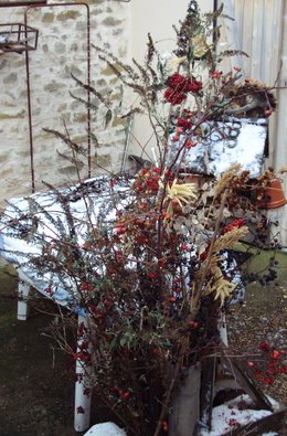 Comment choisir son sapin de Noël