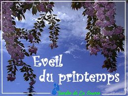 Ca sent le printemps . . . 