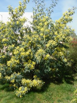 C''est le printemps !