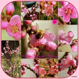 Ca sent le printemps . . . 