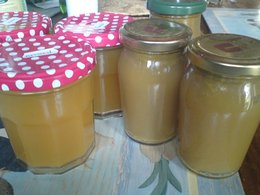 Purin de rhubarbe comme traitement naturel