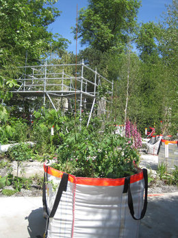 Fête des plantes à Courson - Printemps 2011