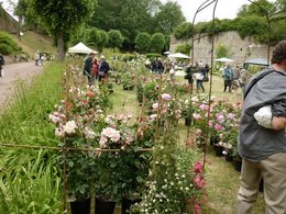 24ème édition des journées Doullennaises des jardins d Agrément