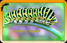 Me reconnaissez-vous ?