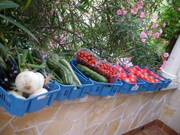 Tomates et courgettes farcies