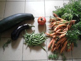 Beau panier de légumes