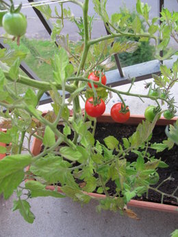 a faire sur son balcon