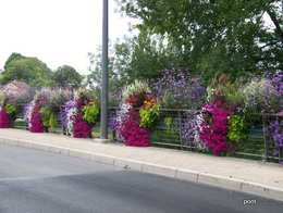 Avez-vous déjà participé à un concours de maison fleurie ?