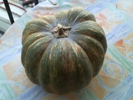 courge mure