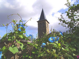 Avez-vous déjà participé à un concours de maison fleurie ?