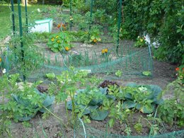 Evolution du potager de jardinier-amateur : de 2005 à 2011