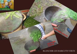 Conserves de haricots verts