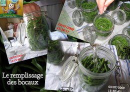 Conserves de haricots verts