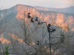 Une girouette pour voir la provenance du vent dans votre jardin ?