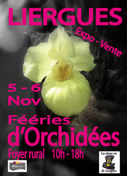 5 et 6 Novembre 2011 : Fééries Des Orchidées À Liergues (Rhone) à 5 km de Villefranche sur Saône