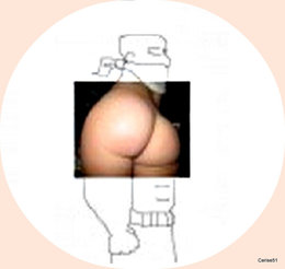 Une belle paire de fesses . . . 