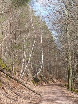 Retour au bercail