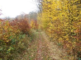 L'automne, ça vous inspire quoi ?