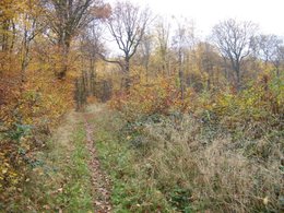 L'automne, ça vous inspire quoi ?