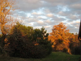 L'automne, ça vous inspire quoi ?