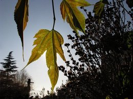 L'automne, ça vous inspire quoi ?