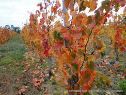 L'automne, ça vous inspire quoi ?