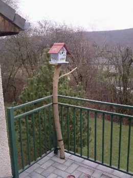 Construire un nichoir pour les oiseaux