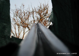 Nourrir les oiseaux en hiver au jardin