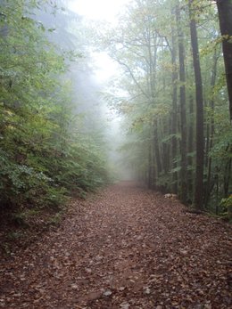 L'automne, ça vous inspire quoi ?