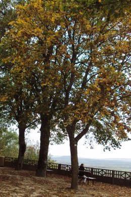 L'automne, ça vous inspire quoi ?