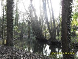 L'automne, ça vous inspire quoi ?