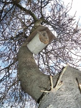 Construire un nichoir pour les oiseaux