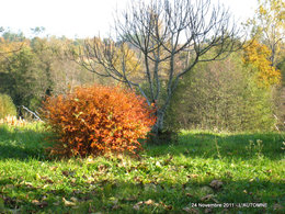 L'automne, ça vous inspire quoi ?