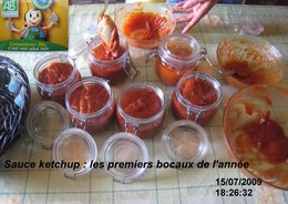 CONSERVES DE SAUCE KETCHUP