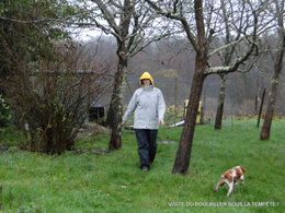PHOTOS SUR LE SITE