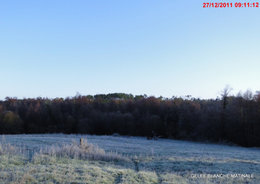 Un hiver trop doux au jardin