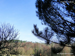 Un hiver trop doux au jardin