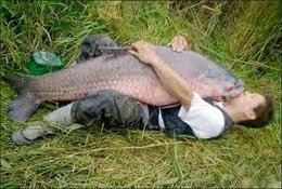 PAIN DE POISSON