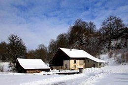 La neige au jardin