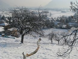 Nourrir les oiseaux en hiver au jardin