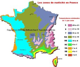 Connaissez-vous la zone de rusticité de votre région ?