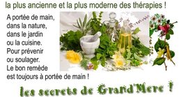 recette de plantes  eloigne ton stress