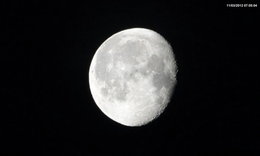 Jardiner avec la lune : mars 2012