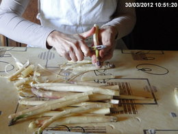 Les asperges