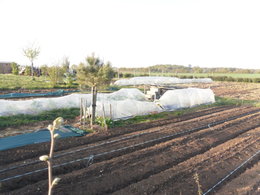 potager 2010 d'emmanuel