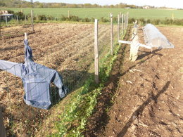 potager 2010 d'emmanuel