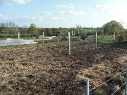 potager 2010 d'emmanuel