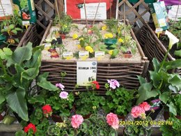 Un potager au carré (entouré de planches) dans votre jardin ?