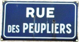 Les plus belles plaques